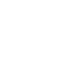 Iguana